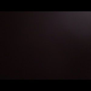 Meet your Posher, Sadie